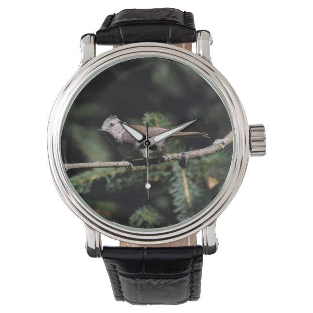 Lophanes cristatus armbanduhr (Vorderseite)