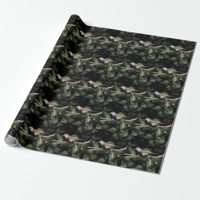 Lophanes cristatus geschenkpapier (Ungerollt)