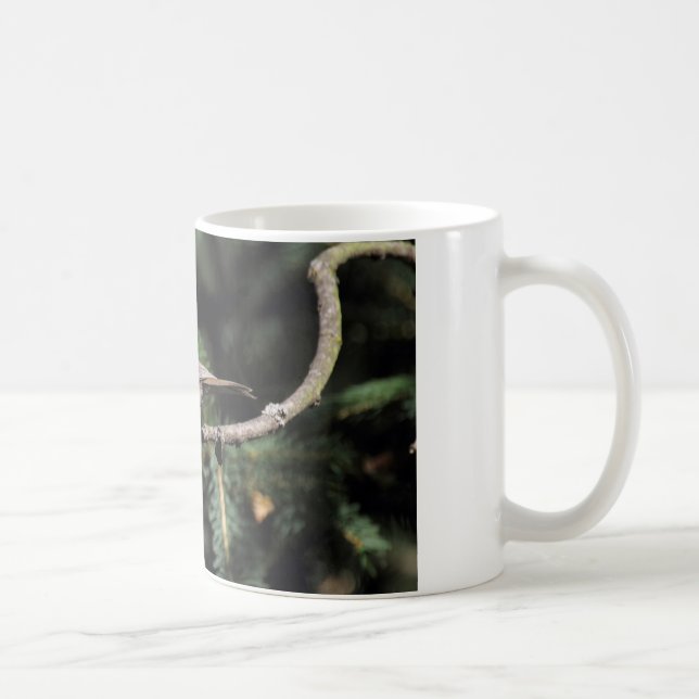 Lophanes cristatus kaffeetasse (Rechts)