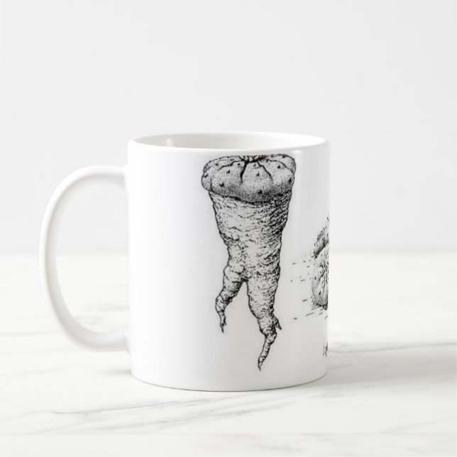 Lophophora williamsii Entwurf Kaffeetasse (Links)