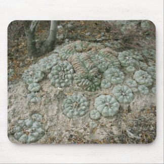 Lophophora williamsii - Peyote Mousepad