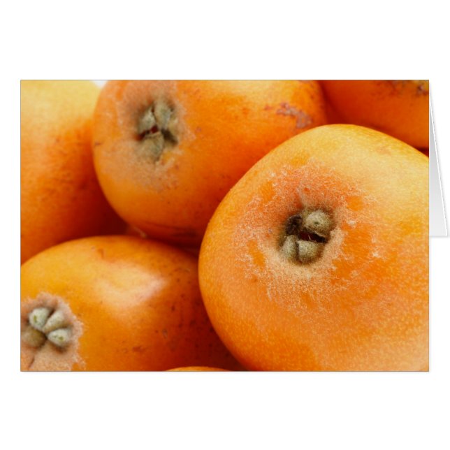 Loquats (Vorderseite (Horizontal))
