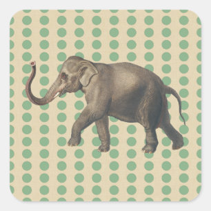 Lorbeer Gewürz Stimmungen Punkte mit Elefant Quadratischer Aufkleber