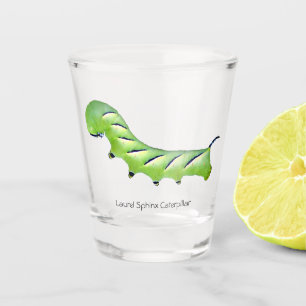 Lorbeer-Sphinx-Raupen-Schuss-Glas Schnapsglas