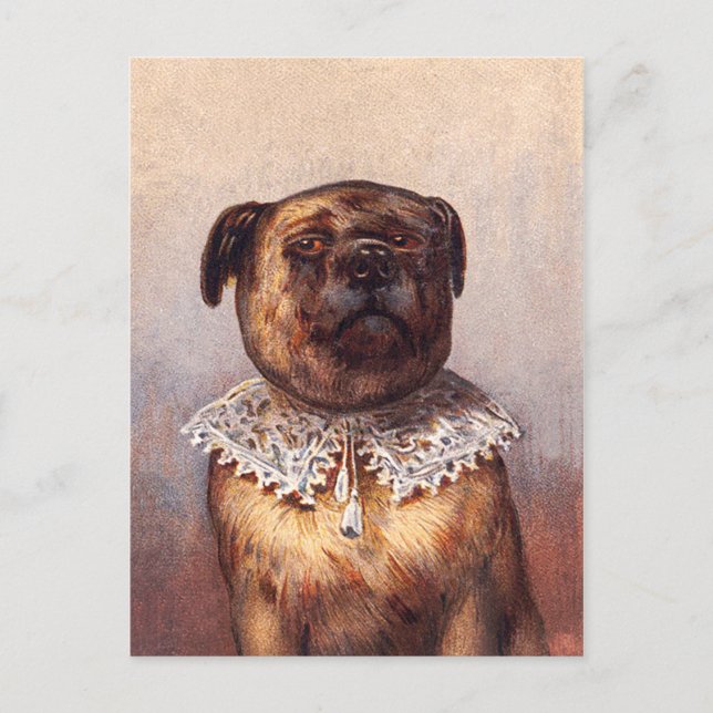 Lord Canine Postcard Postkarte (Vorderseite)