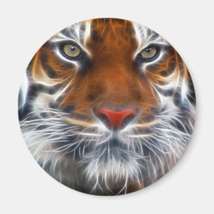 Lord der indischen Dschungel, der königliche Magnet