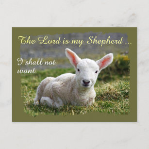 Lord is my Shepherd Psalm 23 Complete Version Postkarte