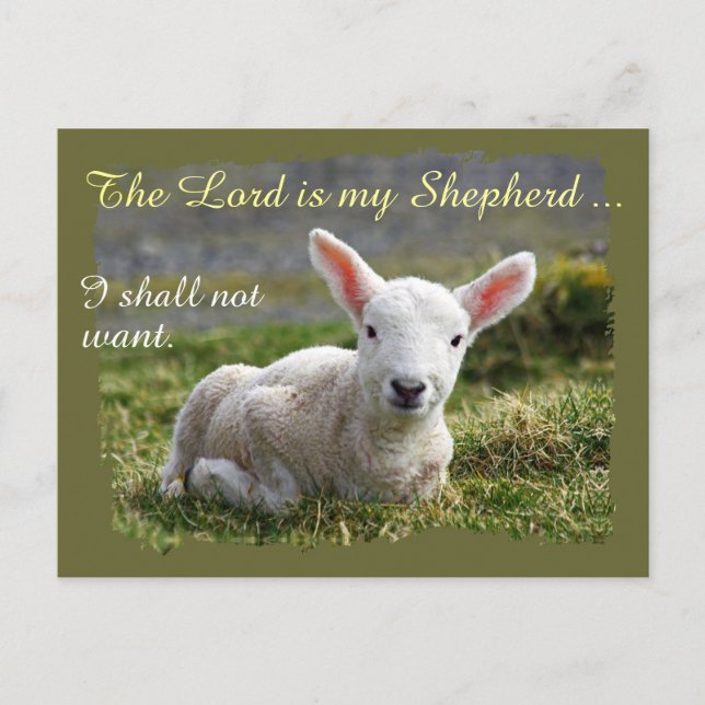 Lord is my Shepherd Psalm 23 Complete Version Postkarte (Vorderseite)