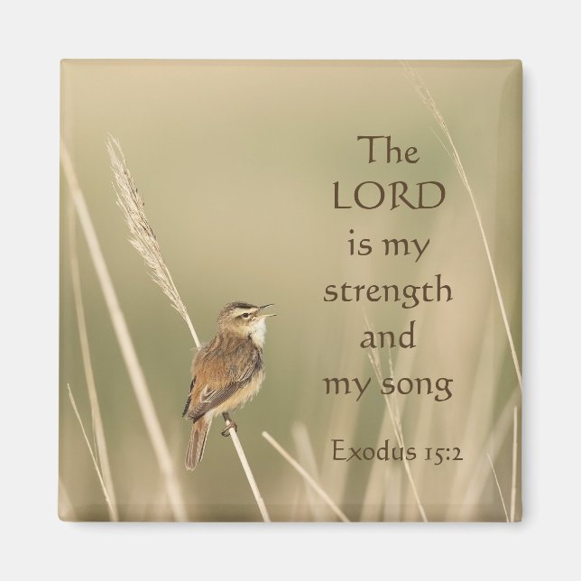 Lord is my Strength & Song Scripting Song Bird Magnet (Vorne)
