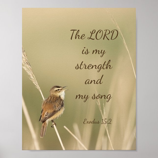 Lord is my Strength & Song Scripting Song Bird Poster (Vorne)