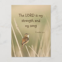 Lord is my Strength & Song Scripting Song Bird