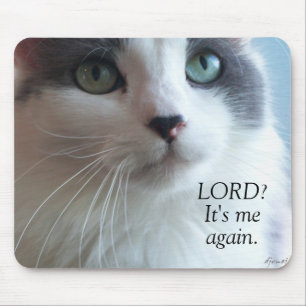 Lord, ist es ich wieder betende Katze Meme Mousepad