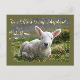 Lord ist mein Hirte Little White Lamb Blank Postkarte