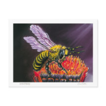 Lord of Honey