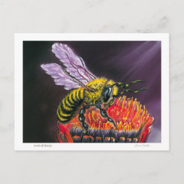 Lord of Honey Postkarte