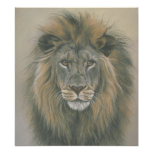 Lord of the Jungle Lion Poster