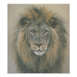 Lord of the Jungle Lion Poster