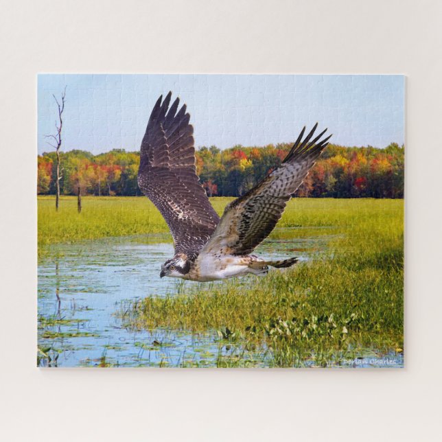 "Lord of the Marsh" Jigsaw Puzzle (Horizontal)