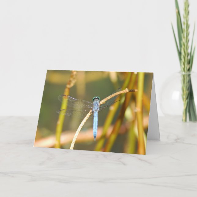 Lord Of The Swamp Karte (Vorderseite)