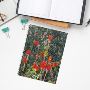 Lords und Ladys Italian Arum Floral Notizblock