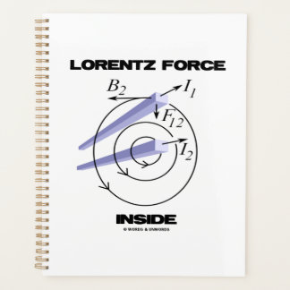 Lorentz Force Inside Electromagnetismus Spaß Planer