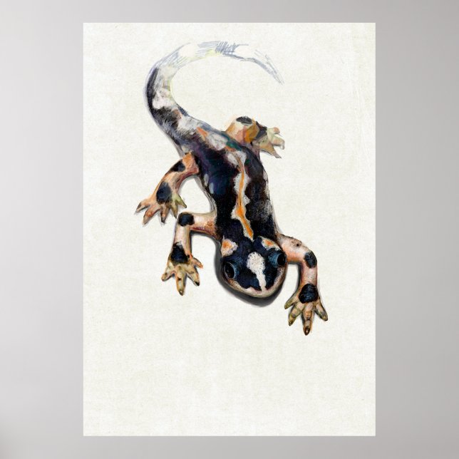 Lorestan's Salamander Scientific Illustration Poster (Vorne)