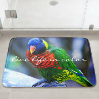 Lorikeet Bird Live Life in Color Red Blue Green