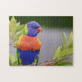Lorikeet Bird Perched Parrot Animal Feathers Puzzle