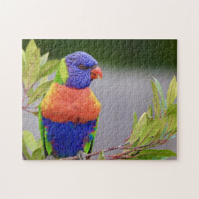 Lorikeet Bird Perched Parrot Animal Feathers Puzzle (Horizontal)