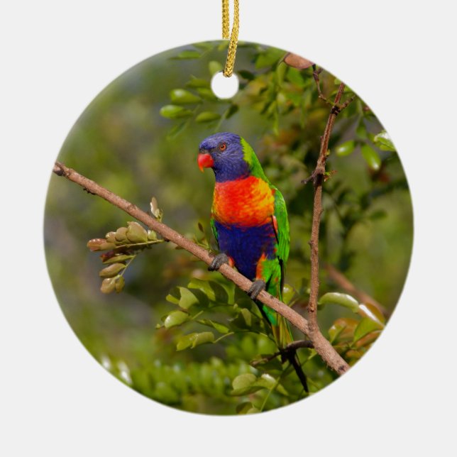 Lorikeet Keramik Ornament (Vorne)
