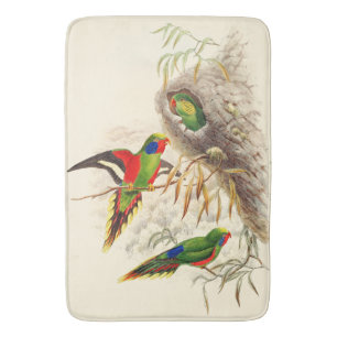 Lorikeet Papageien-Vogel-Tier-Tier-Bad-Matte Badematte