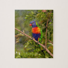 Lorikeet Puzzle