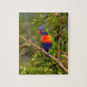 Lorikeet Puzzle