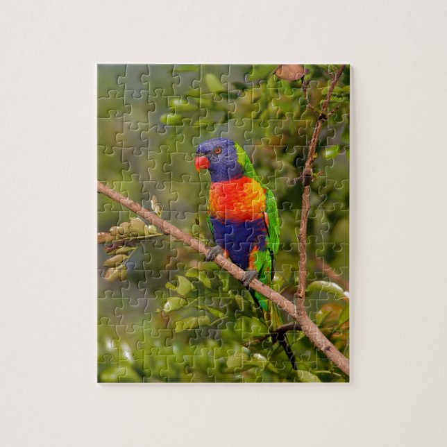 Lorikeet Puzzle (Vertikal)