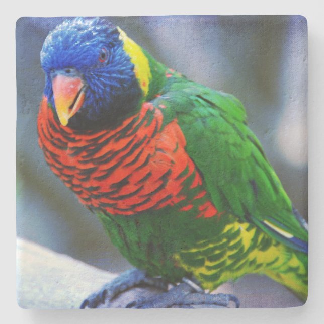 Lorikeet red green blue bird Foto modern Steinuntersetzer (Vorderseite)