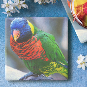 Lorikeet red green blue bird Foto modern Steinuntersetzer