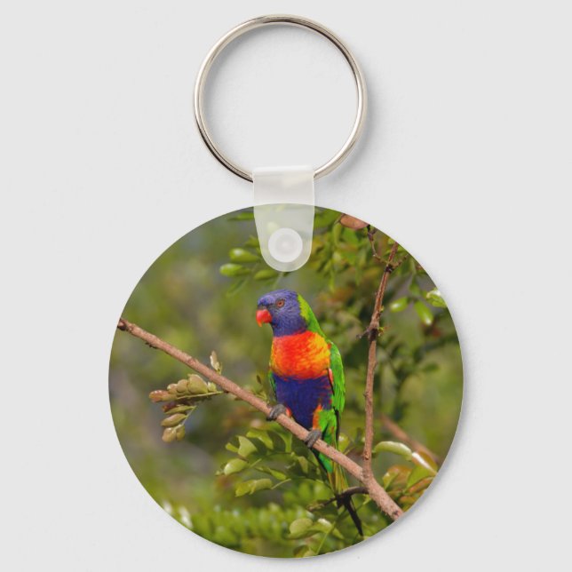 Lorikeet Schlüsselanhänger (Vorderseite)