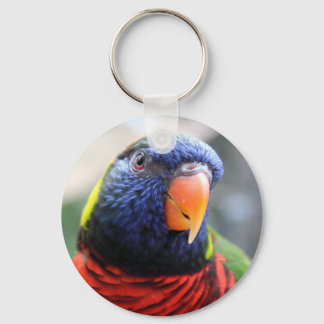 Lorikeet Schlüsselanhänger