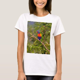 Lorikeet T-Shirt