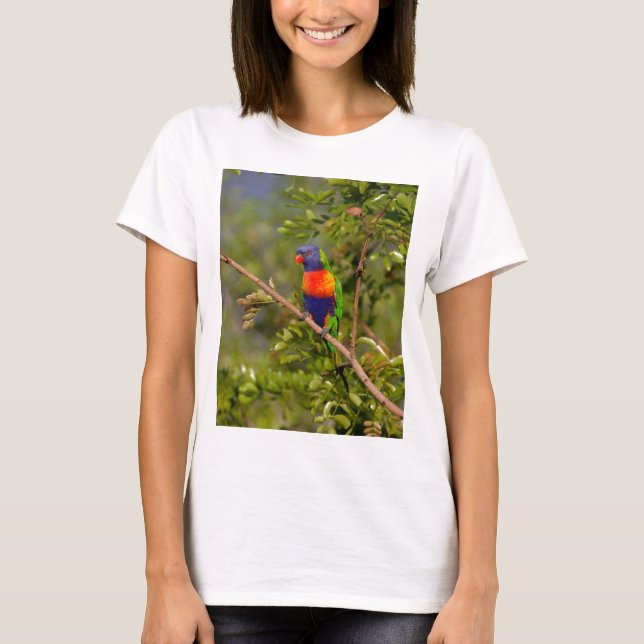 Lorikeet T-Shirt (Vorderseite)