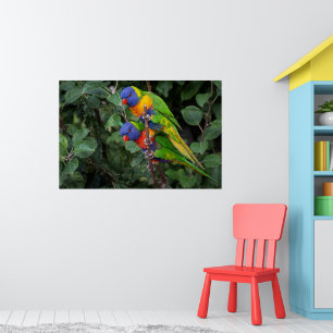 Lorikeets, farbenfrohe Papageien, Poster