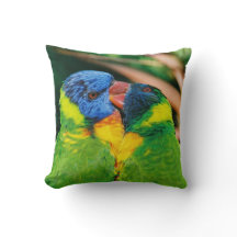 Lorikeets in der Liebe