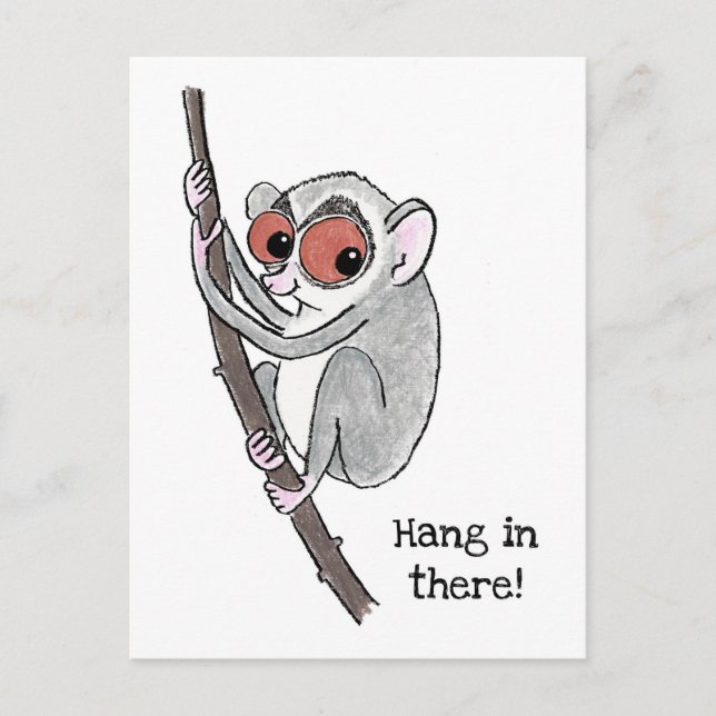 Loris 'hang in there' Postkarte (Vorderseite)