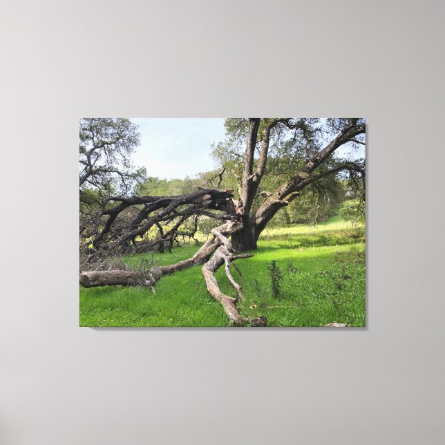 Los Altos Hills Leinwanddruck (Vorderseite)
