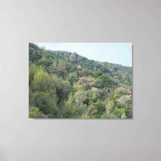 Los Altos Hills Leinwanddruck (Vorderseite)