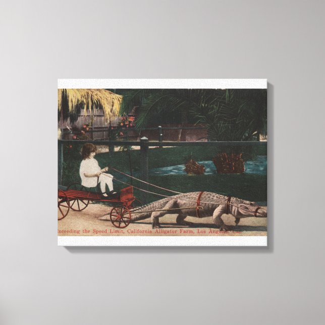 Los Angeles, CAAlligator FarmPulling Girl Leinwanddruck (Vorderseite)