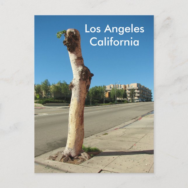 Los Angeles Cool Tree Postcard! Postkarte (Vorderseite)