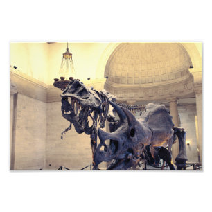 Los Angeles Naturkundemuseum  Fotodruck