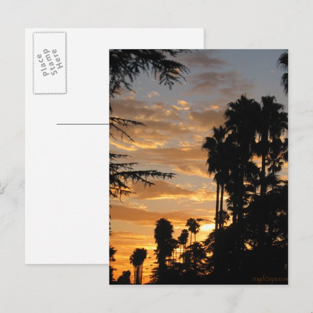 Los Angeles Palm Tree Sunset Postcard Postkarte (Vorne/Hinten)
