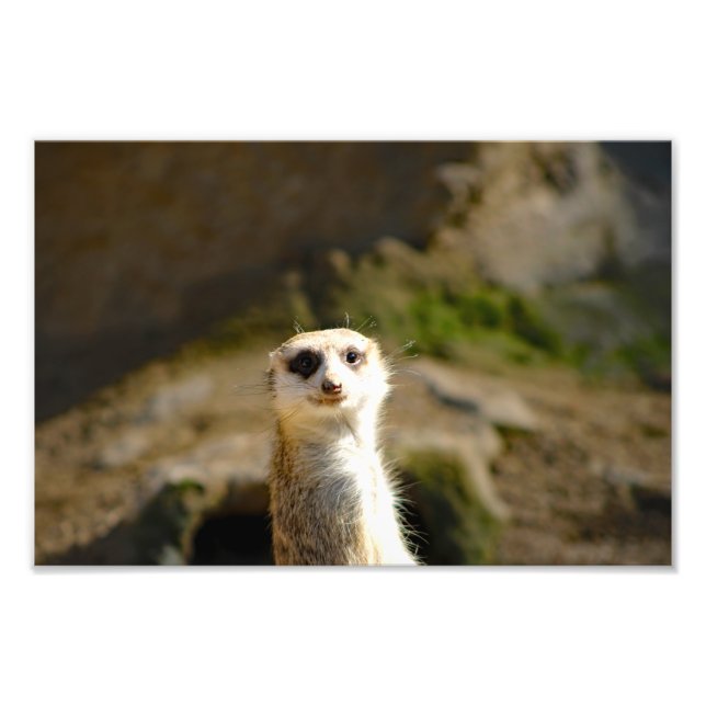 Los Angeles Zoo Fotodruck (Vorne)